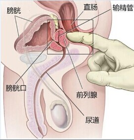 华夏良子前列腺保养是什么-华夏良子足疗按摩